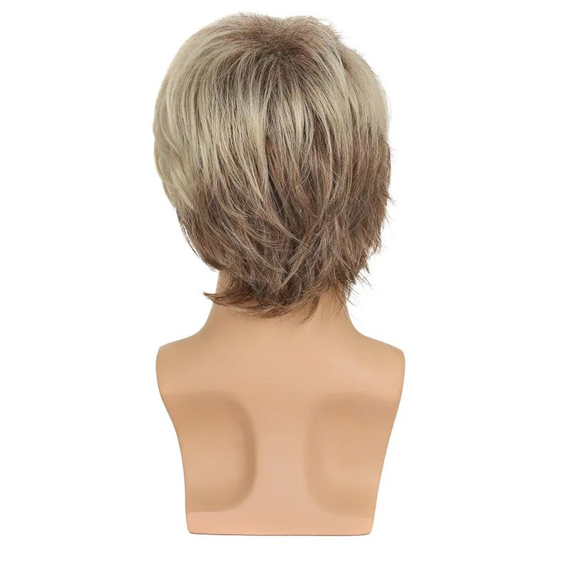 Sylhair Men Wigs Short Silver Gray Wig Male Guy Short Layered Cosplay Costume Party Synthetic Heat Resistant Natural Hair