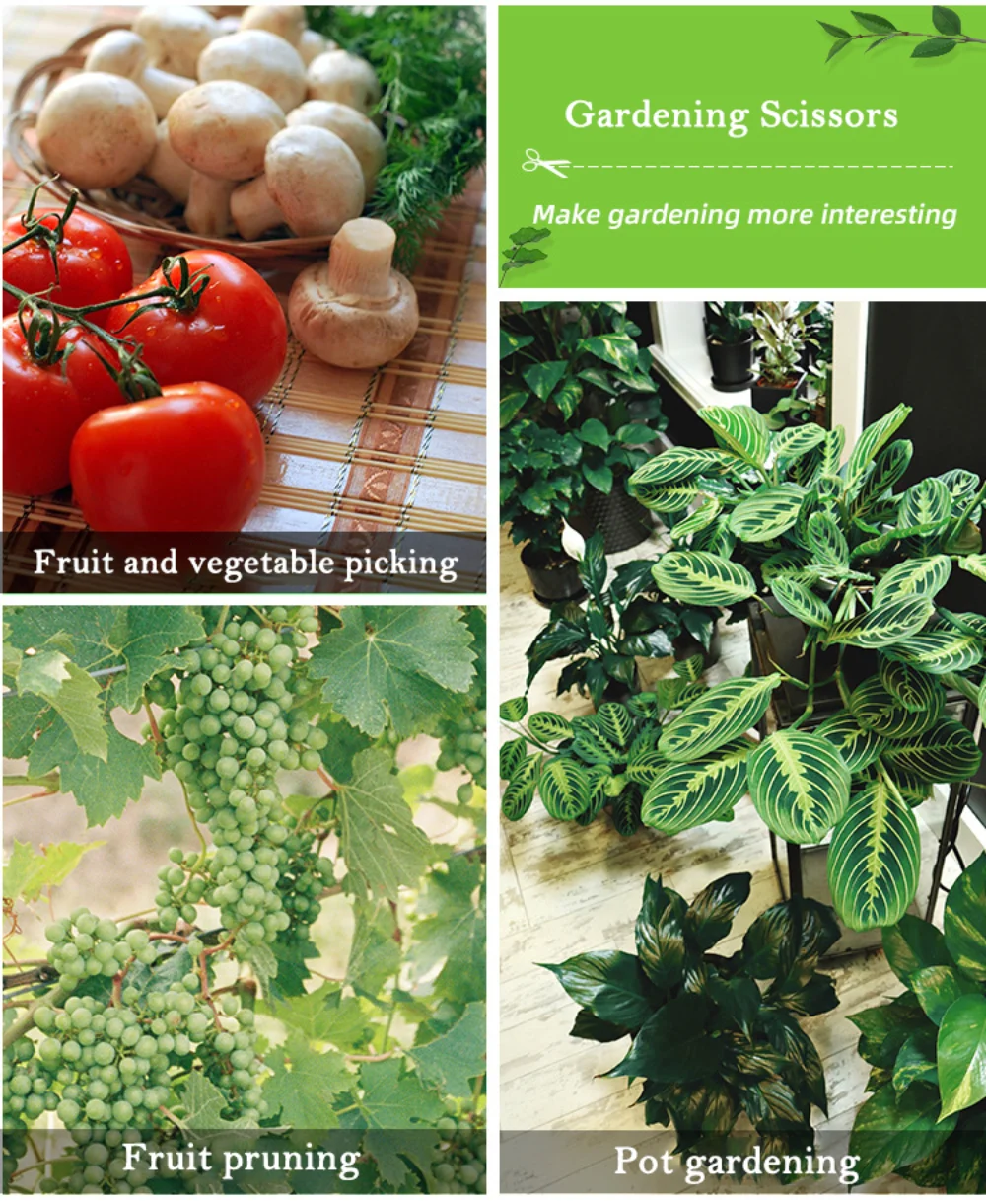 Gardening Pruning Shears Gardening Tools Scissors Bonsai Gardening Scissors Pruning Tools Fruit Picking Weeds Potted Pruning Gardening Pruning Shears Gardening Tools Scissors Bonsai Gardening Scissors Pruning Tools Fruit Picking Weeds Potted Pruning