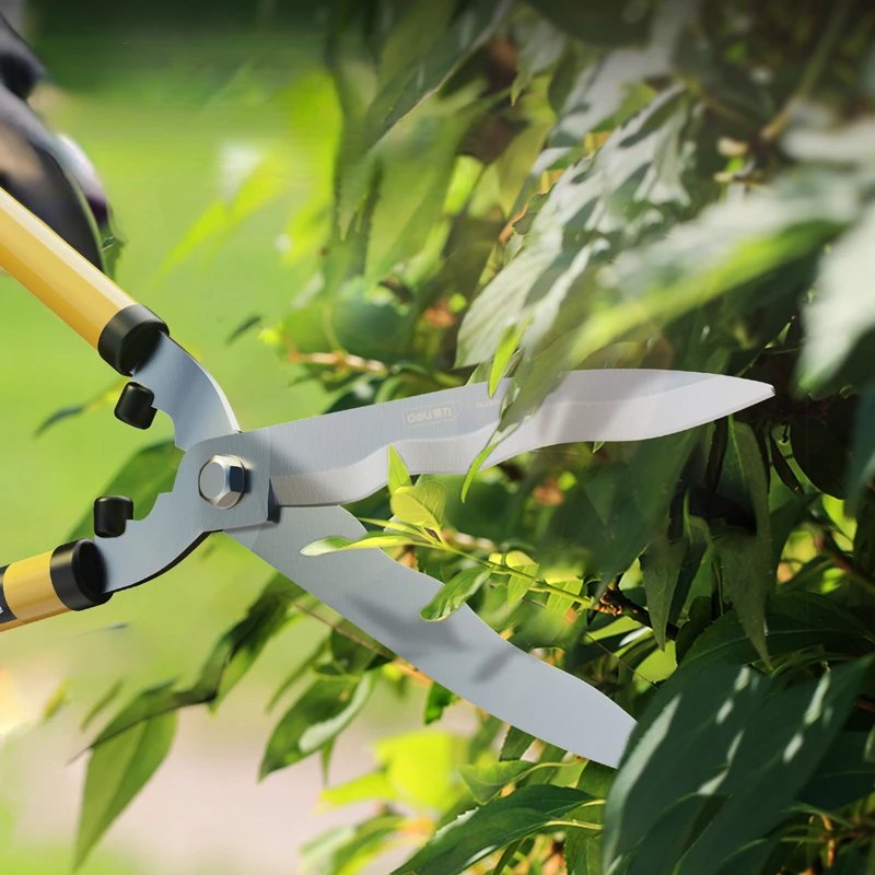 Deli Garden Tools Gardening Scissors Flower Pruner Garden Shears Lawn Special Hedge Shears Pruning Branches for Plant Cutter Deli Garden Tools Gardening Scissors Flower Pruner Garden Shears Lawn Special Hedge Shears Pruning Branches for Plant Cutter