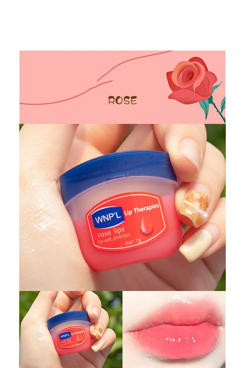 8/6/4/1PCs Lip Balm Moisturizing Lipstick Base Moisturizer Makeup Natural Plant Anti-Cracking Lip Care Petroleum Jelly Lip Balm 8/6/4/1PCs Lip Balm Moisturizing Lipstick Base Moisturizer Makeup Natural Plant Anti-Cracking Lip Care Petroleum Jelly Lip Balm