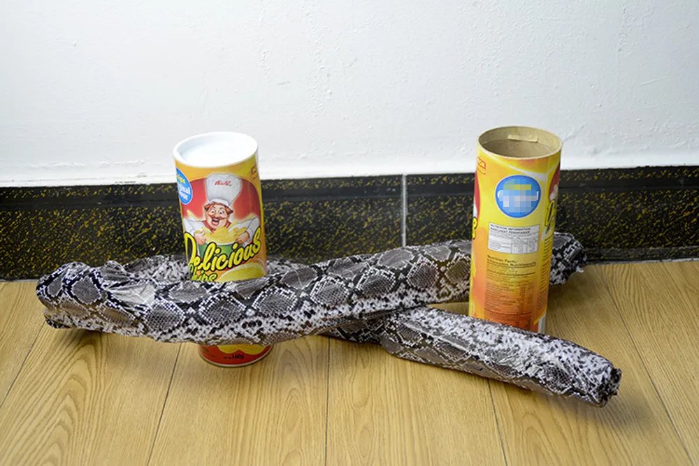 The Potato Chip Snake Stage Magic Tricks Snake Toy April Fool Day Halloween Party Jokes in A Can Gag Gift Scary Fries Fun Toys