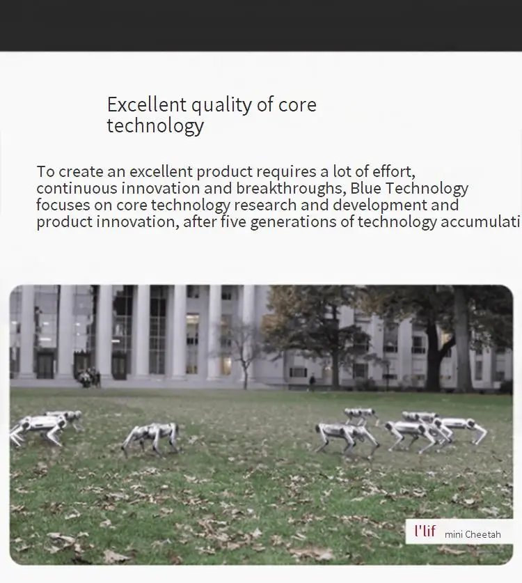 WEILAN AlphaDog C500 C501 Bionic quadruped robot Technology electronic dog Bionic companion intelligent robot