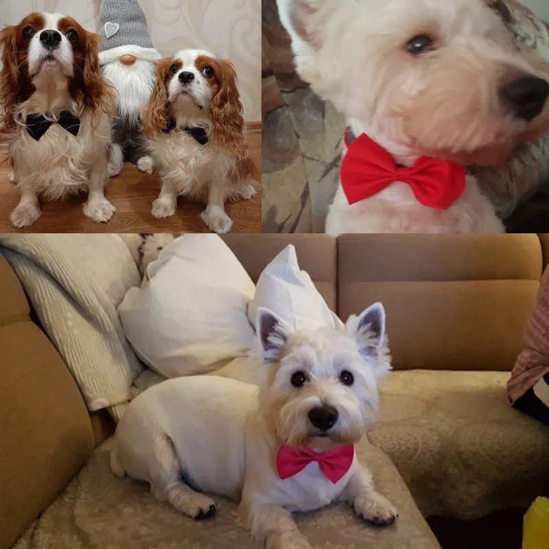 Pet Dog Cat Necklace Adjustable Strap for Cat Collar Dogs Accessories pet dog bow tie puppy bow ties dog Pet supplies