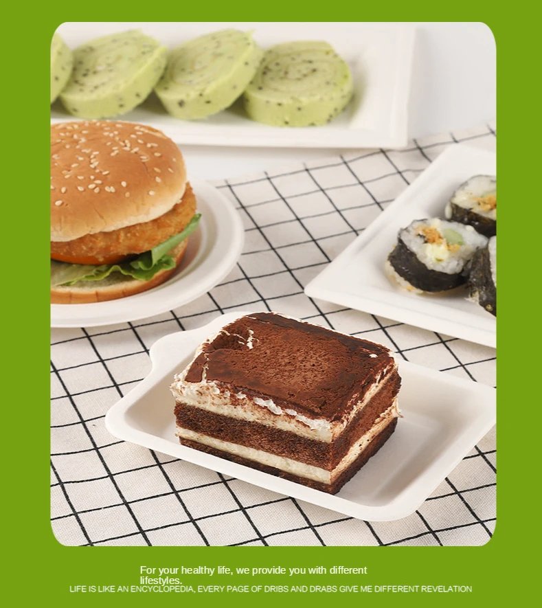 50 Disposable Plates Paperd and Spoon 100% Biodegradable Heavy-Duty Natural Sugarcane Bag-Like Fibers Tableware Compostable