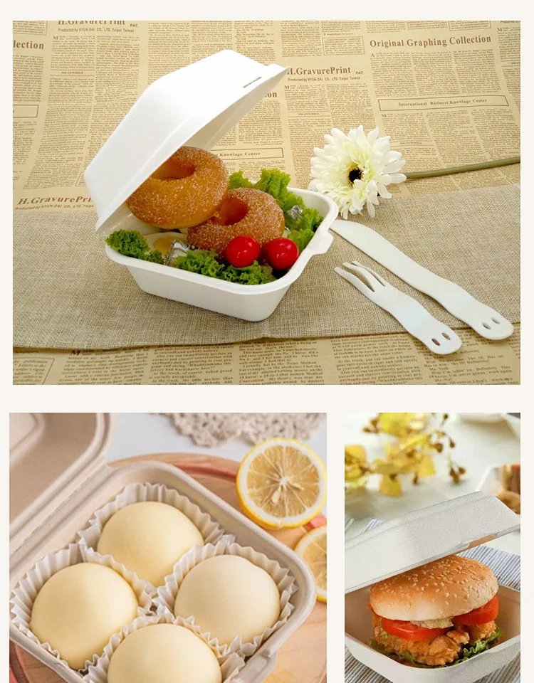 20/10pcs Disposable Bento Food Containers Baking Dessert Bento Cake Box packaging Burger Snack Boxes Microwavable Home Lunchbox