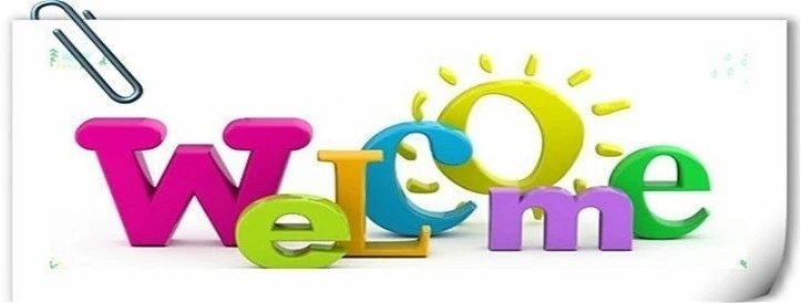 NEW Pure Color Mesh Organ Folds Ruffled Lace DIY Pet Toy Babydoll Bib Sewing Fluffy Multilayer Cake Skirt Decoration Accessories