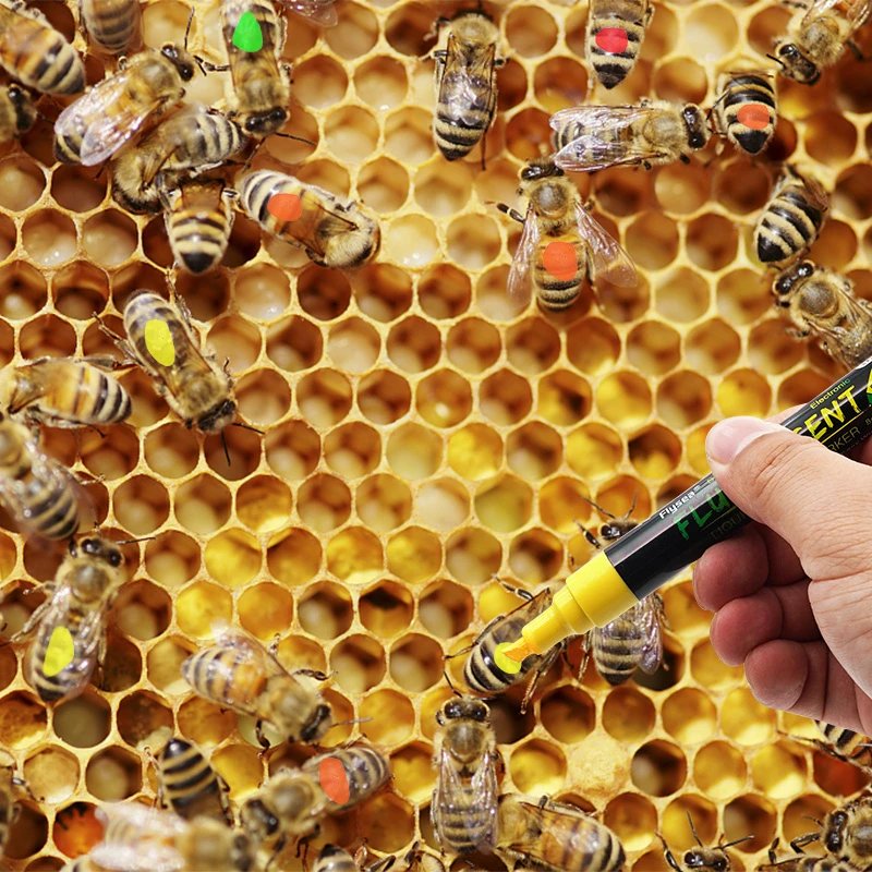 1Pcs Beekeeping Mark Pen Queen Bee Marker 5 Colors Optional Not Fade Bee Identification Equipment Beekeeping Tools