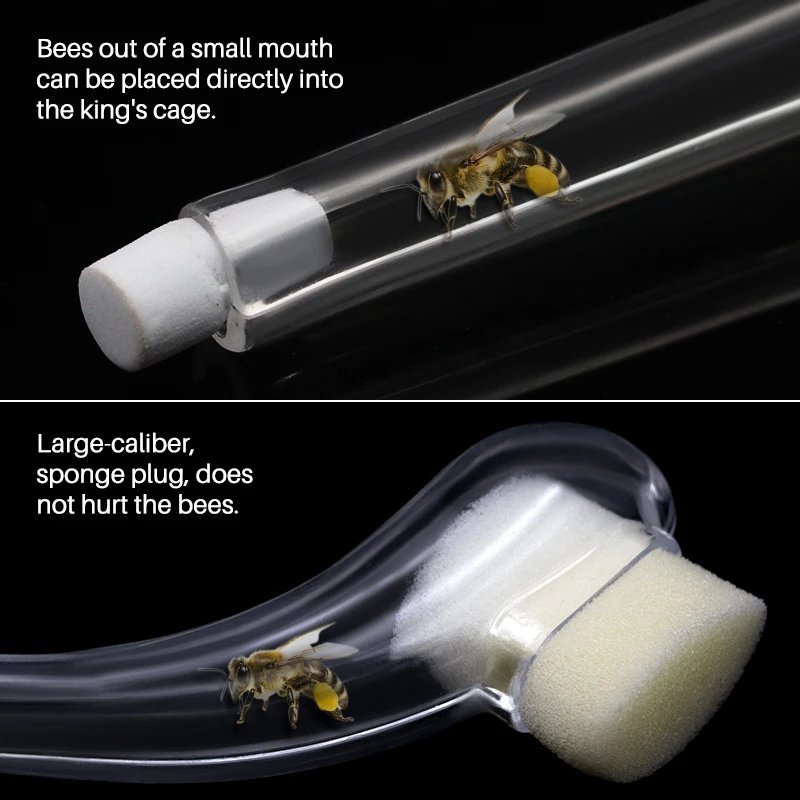 2PCS Beekeeping King Bee Catcher Catching Queen Cage Device Catch King Apicultura Rearing System Bee Supplies