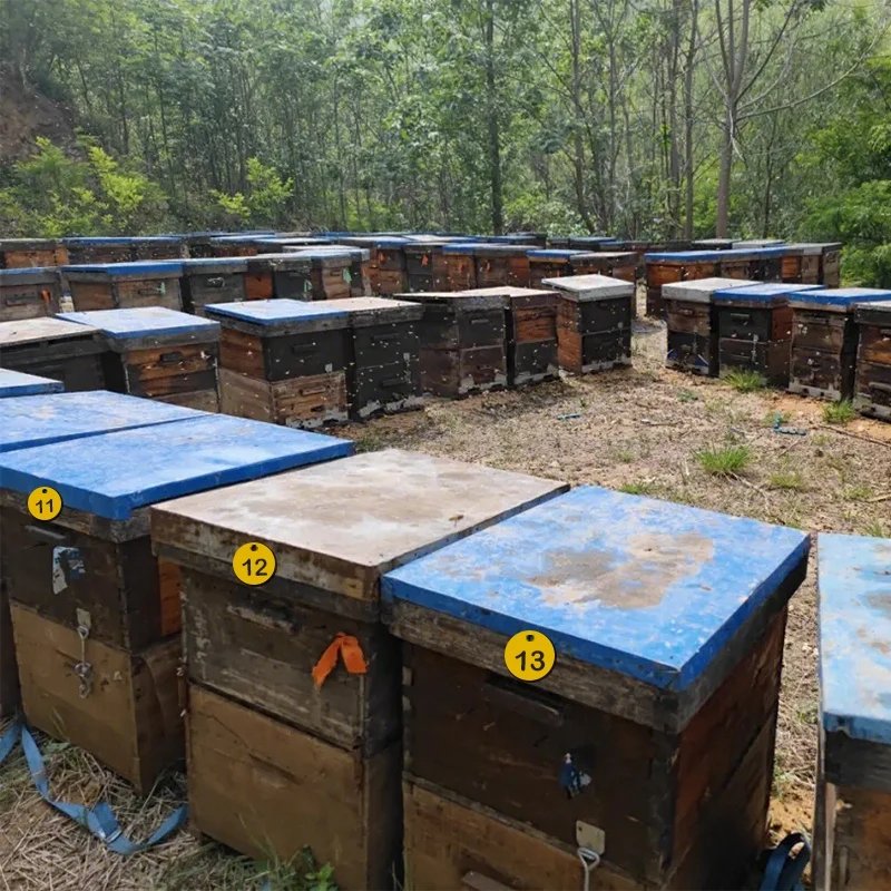 10/20/50pcs Beehive Tags Round Sequential Numbers Sign Labels Livestock Number Accessory Beehive Mark Board Tag Beekeeping Tools