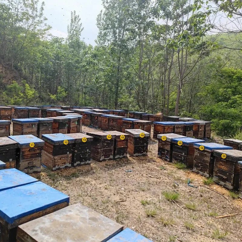 10/20/50pcs Beehive Tags Round Sequential Numbers Sign Labels Livestock Number Accessory Beehive Mark Board Tag Beekeeping Tools