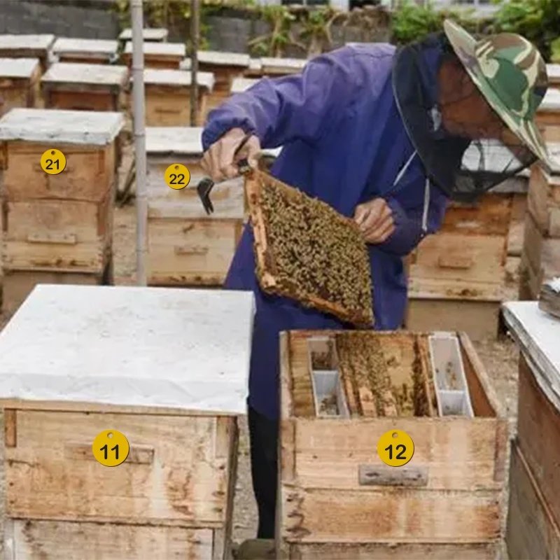 10/20/50pcs Beehive Tags Round Sequential Numbers Sign Labels Livestock Number Accessory Beehive Mark Board Tag Beekeeping Tools