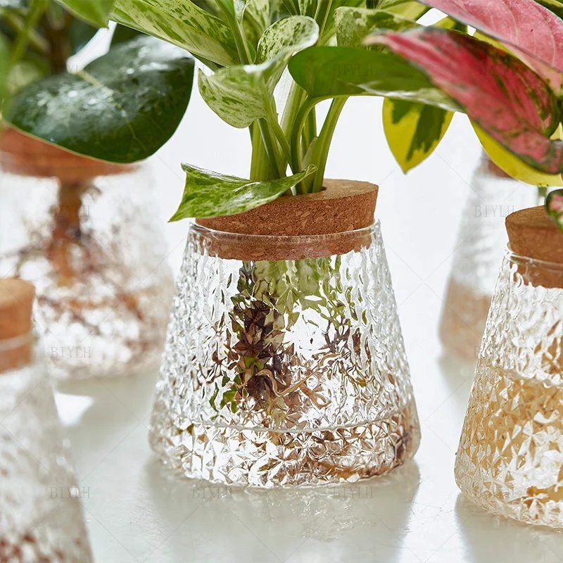Hydroponic Plants Glass Flower Pots Home Decoration Transparent Small Vase Plant Pots With Base Tray For Garden Accessories