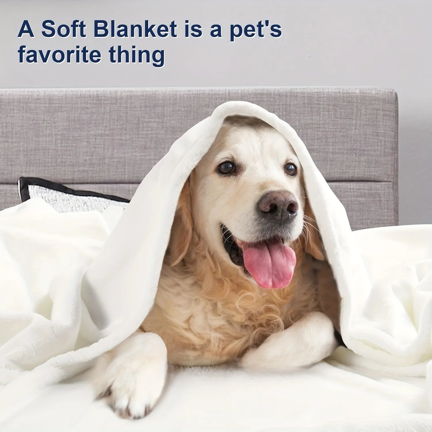 1pc Coral Fleece Blanket Simple Grey Blanket Soft Warm Throw Blanket Nap Blanket for Sofa Bed Camping Trip Office Pet Dog