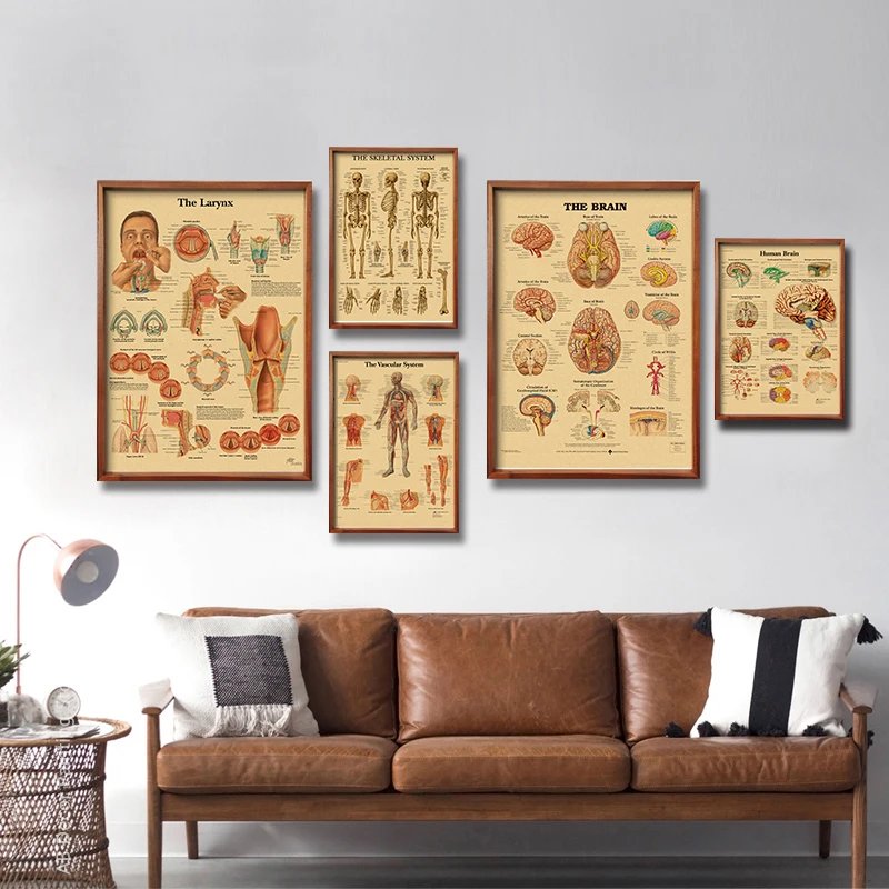 Retro Organ Systems In The Human Body Posters Skeleton Anatomy Kraft Paper Prints DIY Vintage Home Room Art Wall Decor Paintings