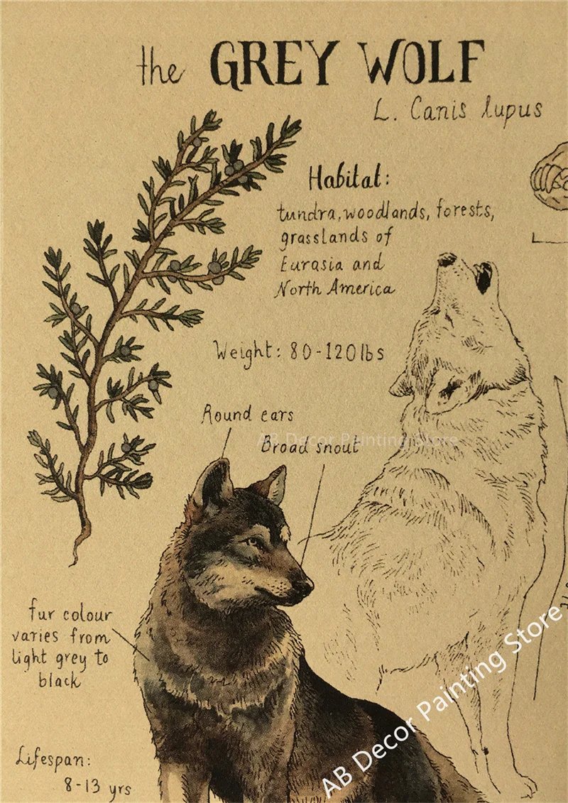 Retro Dragon//Fox/Dog/Wolf/Bird/Bear Posters Prints Nostalgic Animal Natural Study Vintage Home Room Art Wall Decor Painting