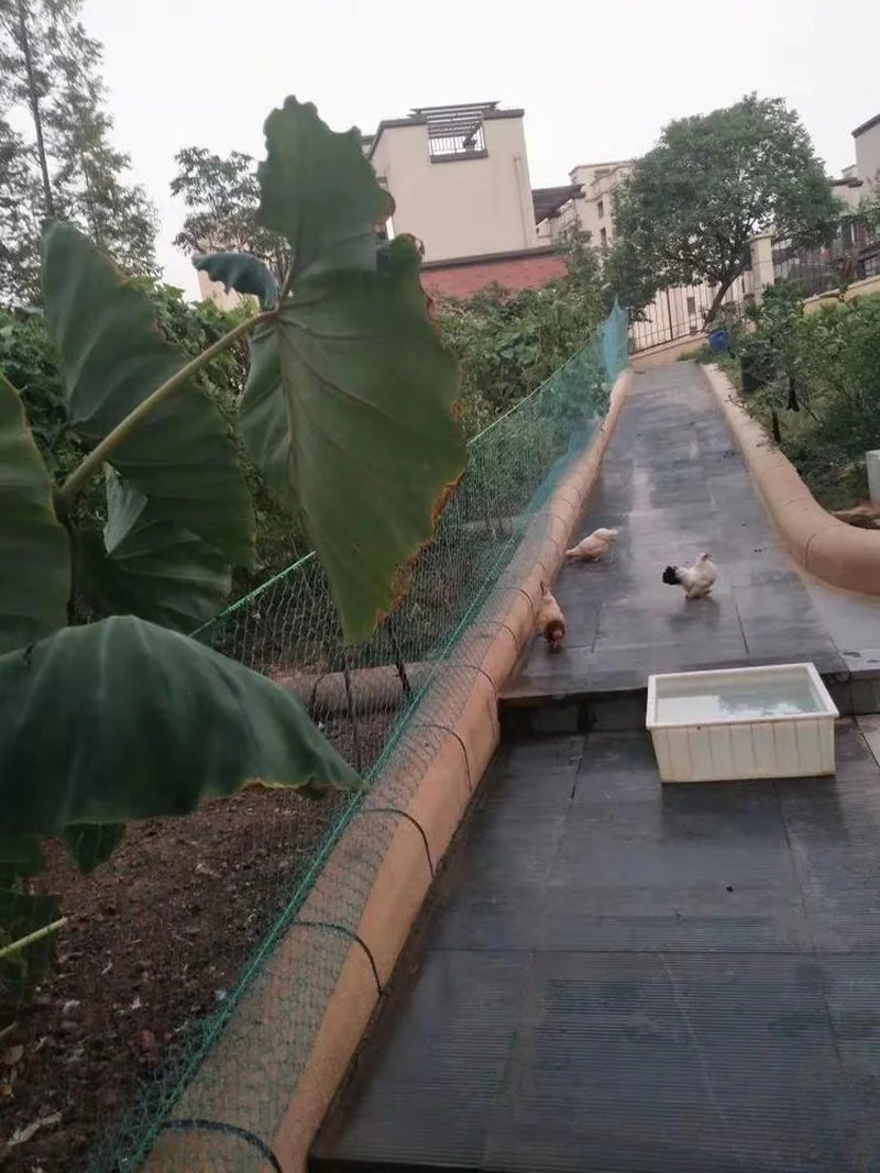 Heavy Duty Anti Bird Netting Garden Deer Fence Netting, Garden Net and Crops Protective Fencing Mesh for Anti Bird Deer Cat Dog