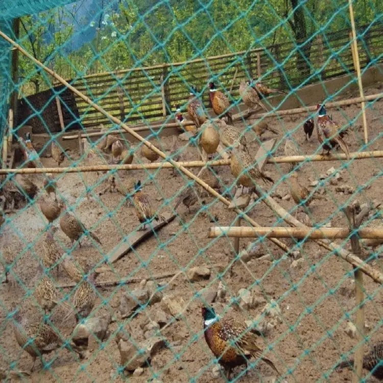 Heavy Duty Anti Bird Netting Garden Deer Fence Netting, Garden Net and Crops Protective Fencing Mesh for Anti Bird Deer Cat Dog