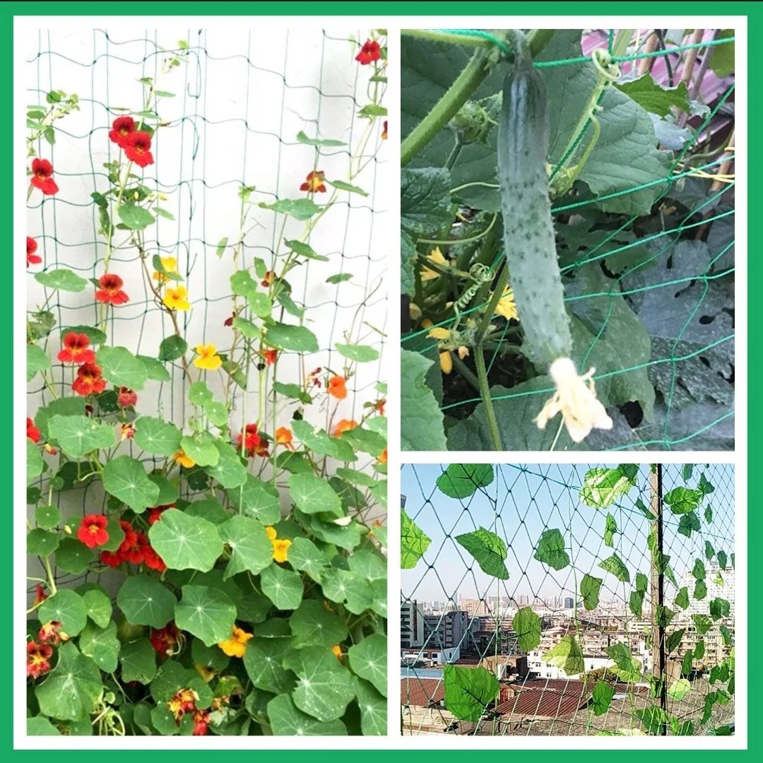 Plant Trellis Pergolas, Heavy-Duty Polyester Grow Net, Garden Trellis Netting With Square Mesh For Climbing Plants, Vegetables,