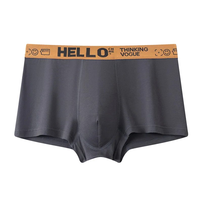 4Pcs Men Underwear Men's Boxers Sexy Underpants Comfortable Breathable Fashion Boys' Panties Underwear Boxershorts Men
