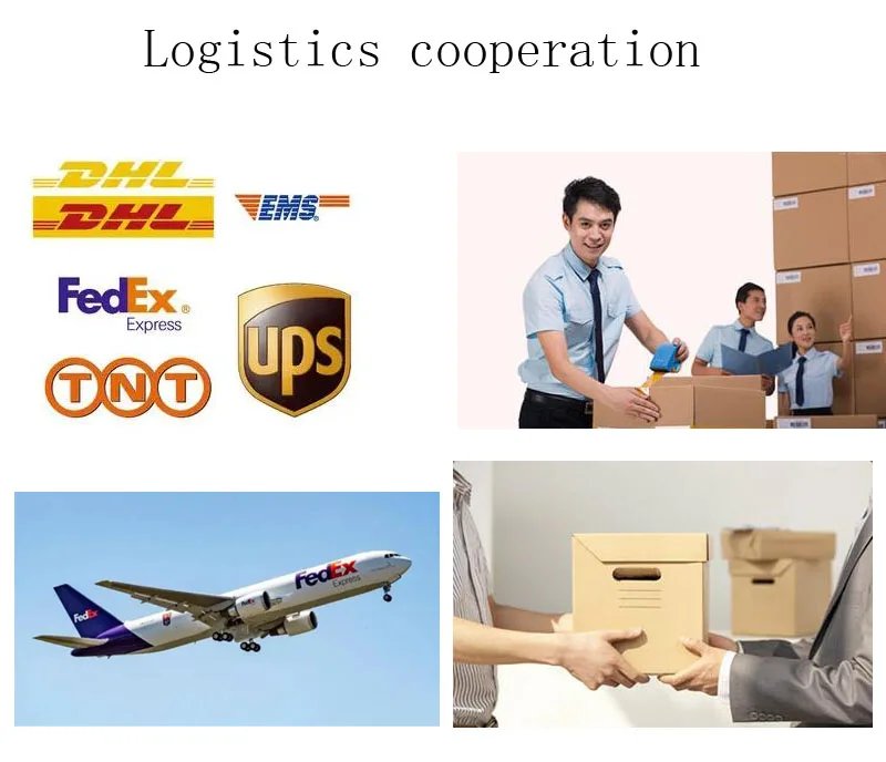 925纯银海豚戒指简约时尚精致学生女友首饰配饰婚礼派对