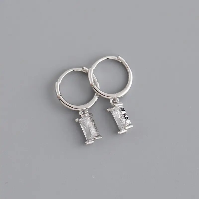 2PC Stainless Steel Little Huggies Hoop Earrings For Women Tiny Crystal Zirconia Pendant Cartilage Earrings Piercing Jewelry 2PC Stainless Steel Little Huggies Hoop Earrings For Women Tiny Crystal Zirconia Pendant Cartilage Earrings Piercing Jewelry